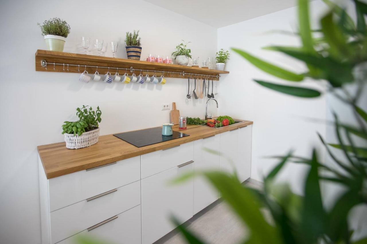 Family Apartment With Garden Любляна Екстериор снимка